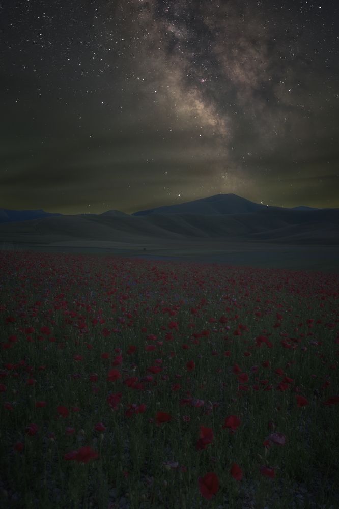 Photograph by Daniele Lazzari