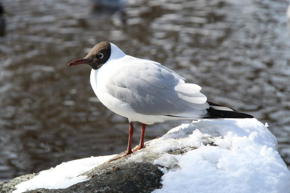 Photograph by Igors Rostikovs