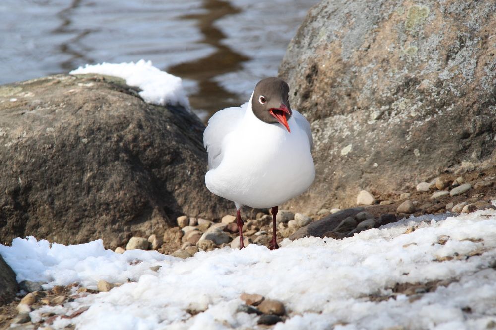 Photograph by Igors Rostikovs