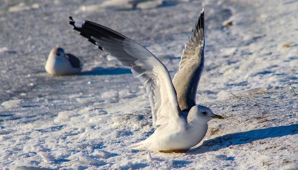 Photograph by Igors Rostikovs