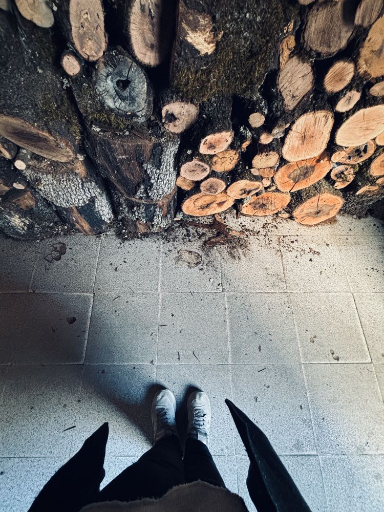 Photograph by Flor Manzano I