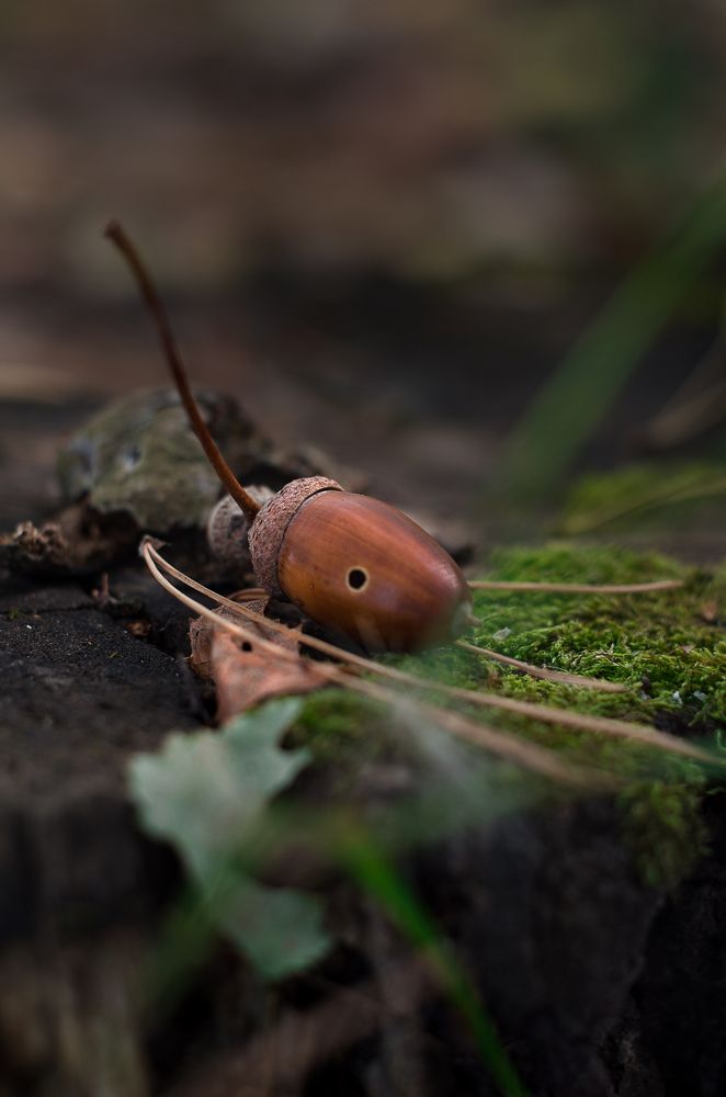 Photograph by Татьяна Псенкова