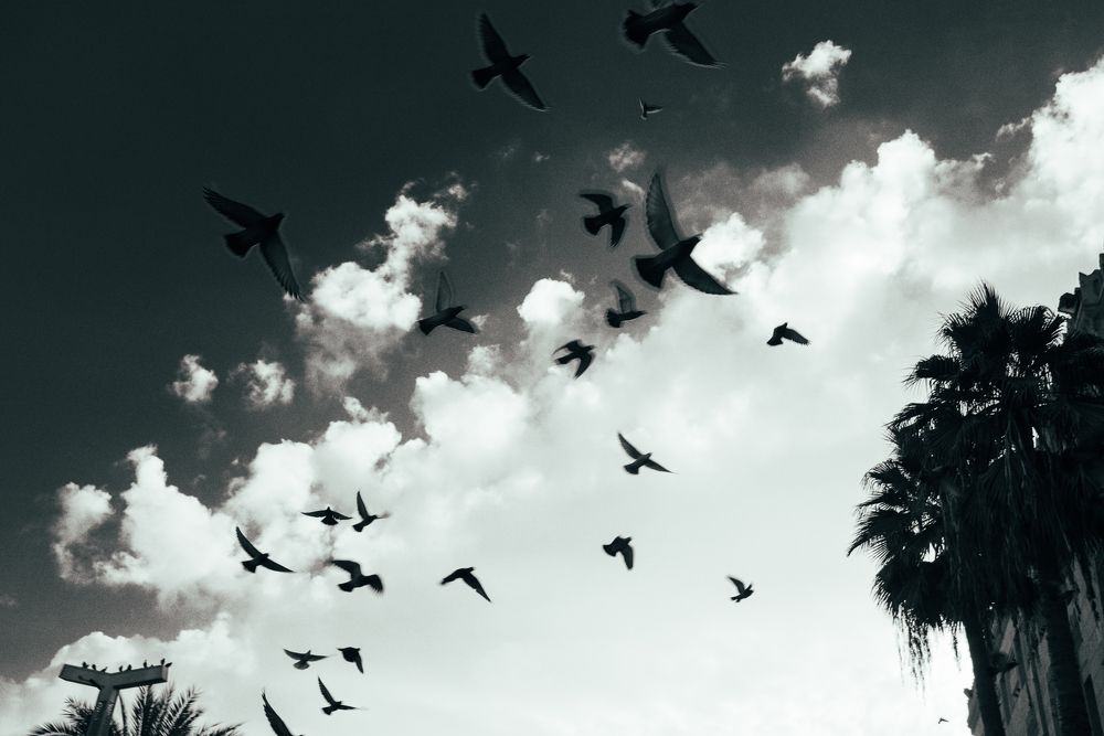 Photograph by Максим