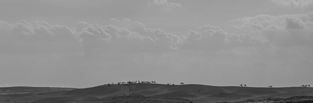 Photograph by Максим