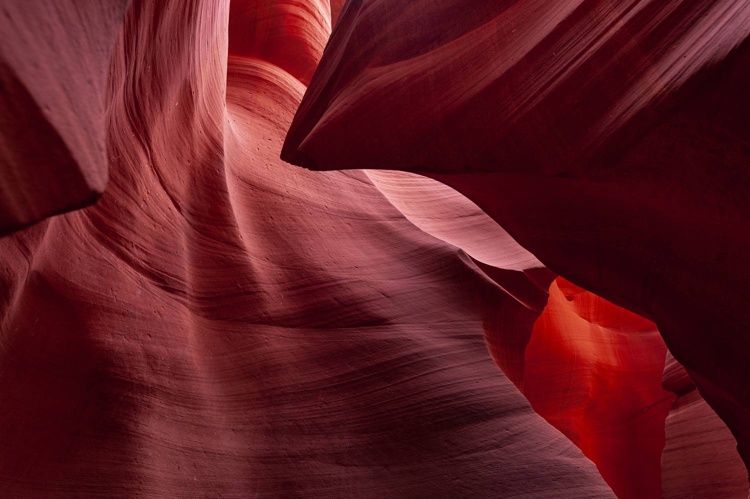 Фотография #11696752