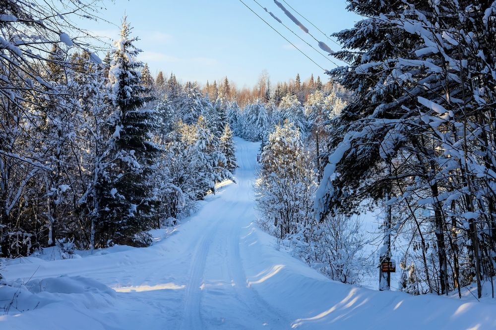 Photograph by Юлия Трап