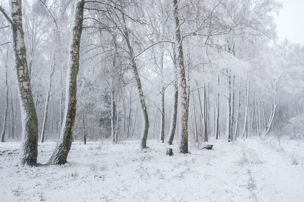 Photograph by Сипаева Катерина