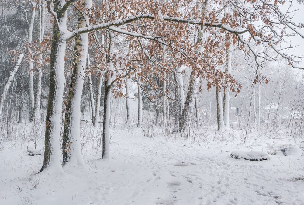 Photograph by Сипаева Катерина