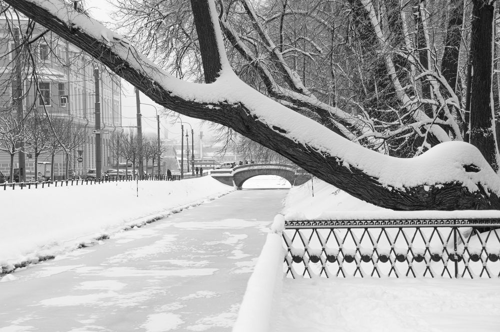 Фотография автора Татьяна