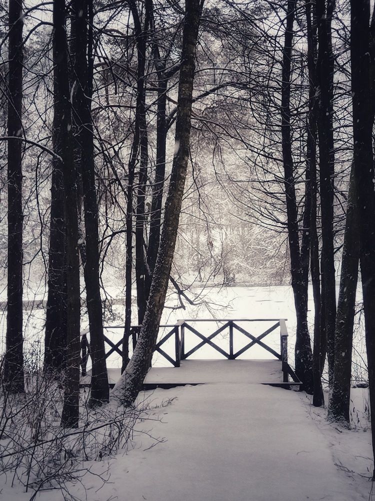 Photo #11696867