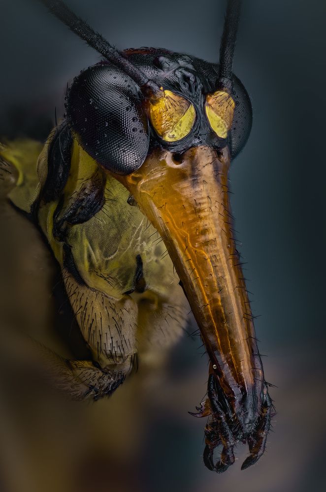 Photograph by Kavaliauskas Eugenijus