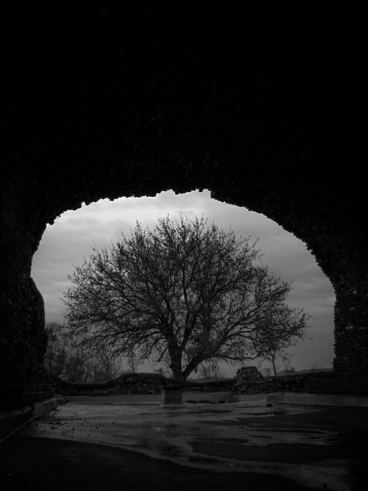 Photograph by Игорь Сухаревич