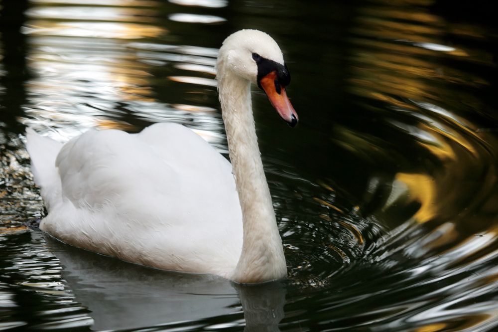 Photograph by Алик Хасанов