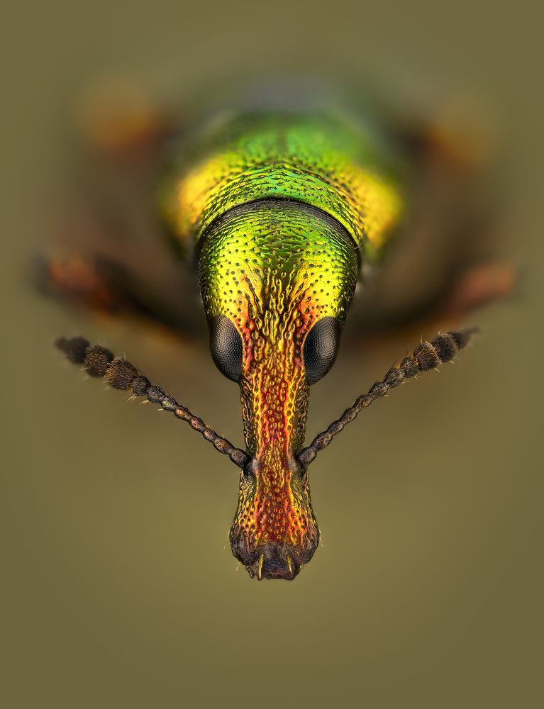 Photograph by Kavaliauskas Eugenijus