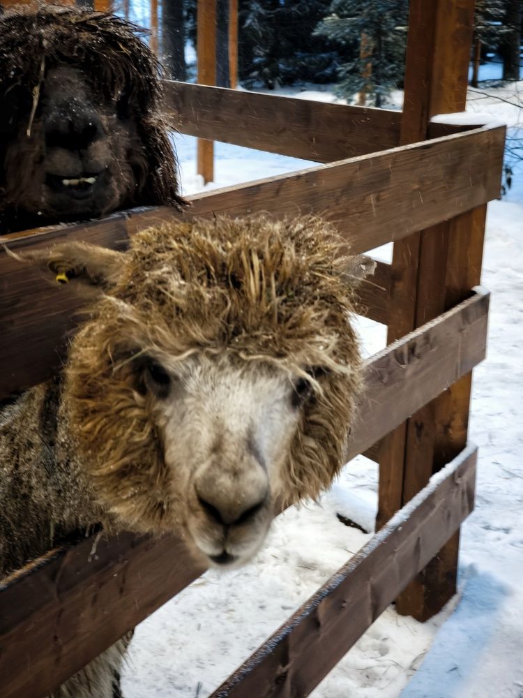 Photograph by Марина Леонова