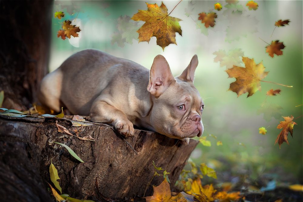 Photograph by Ольга Луканенкова