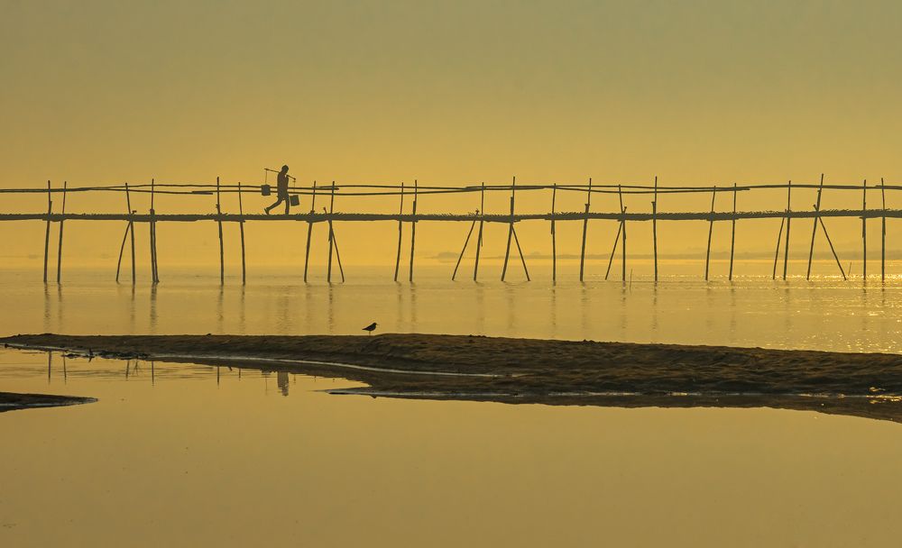 Vise a peripatetic, always in progression