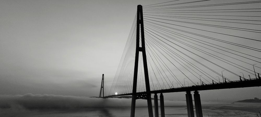 Фотография автора Анастасия Большакова