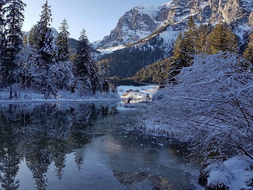 Фотография автора Natalya Firsova