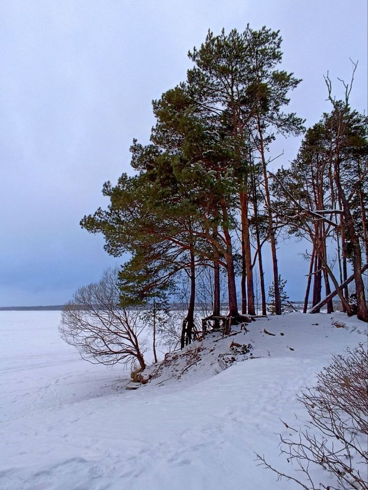 Фотография автора Natalya Firsova