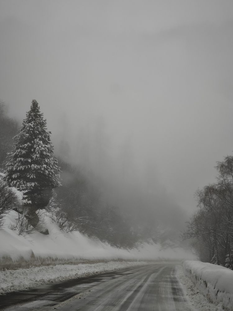 Photograph by Александра Шилова