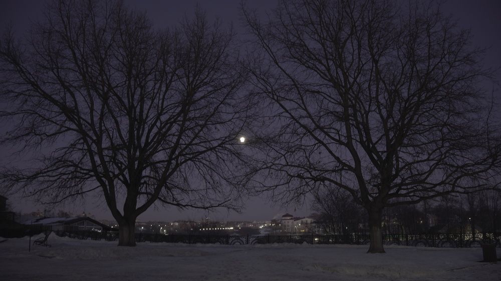 Photograph by Александр Климов