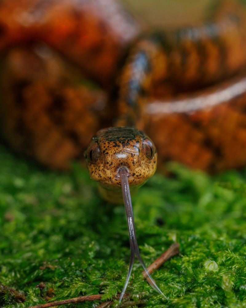 Фотография автора Rajarshi Roy