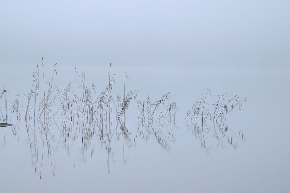 Photograph by Елена Шавшина