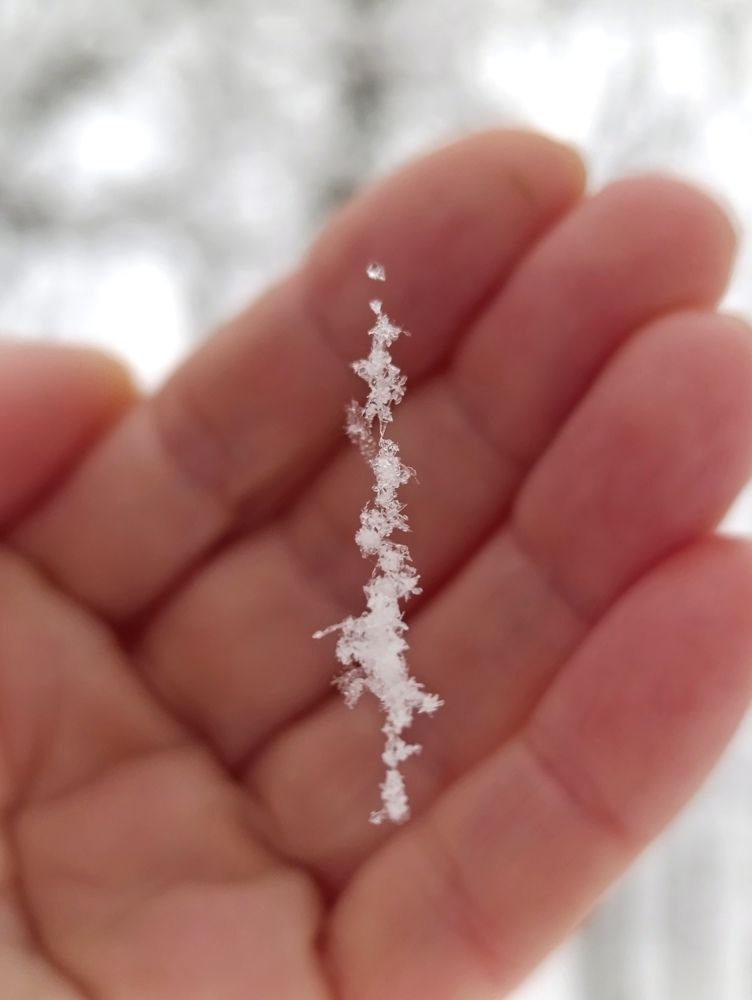 Photograph by Светлана Веселовская