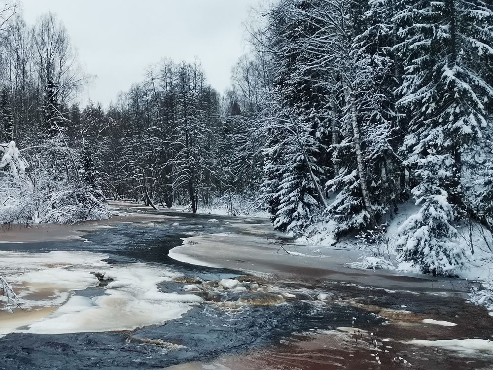 Photograph by Елена Акимова