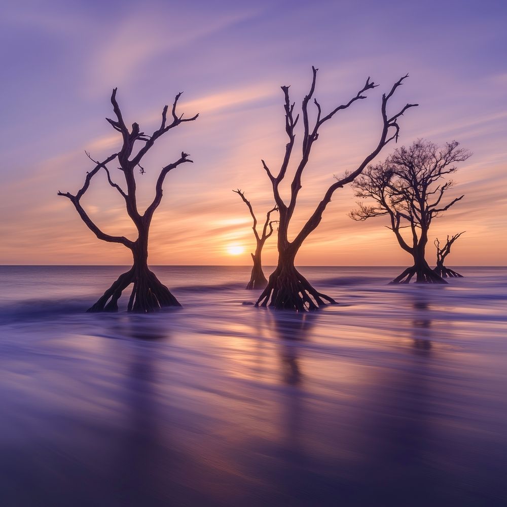 Photograph by Armin Abdehou