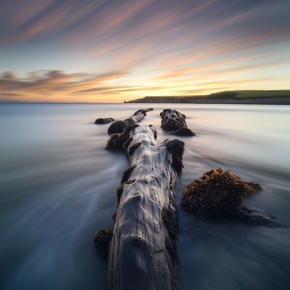 Photograph by Armin Abdehou