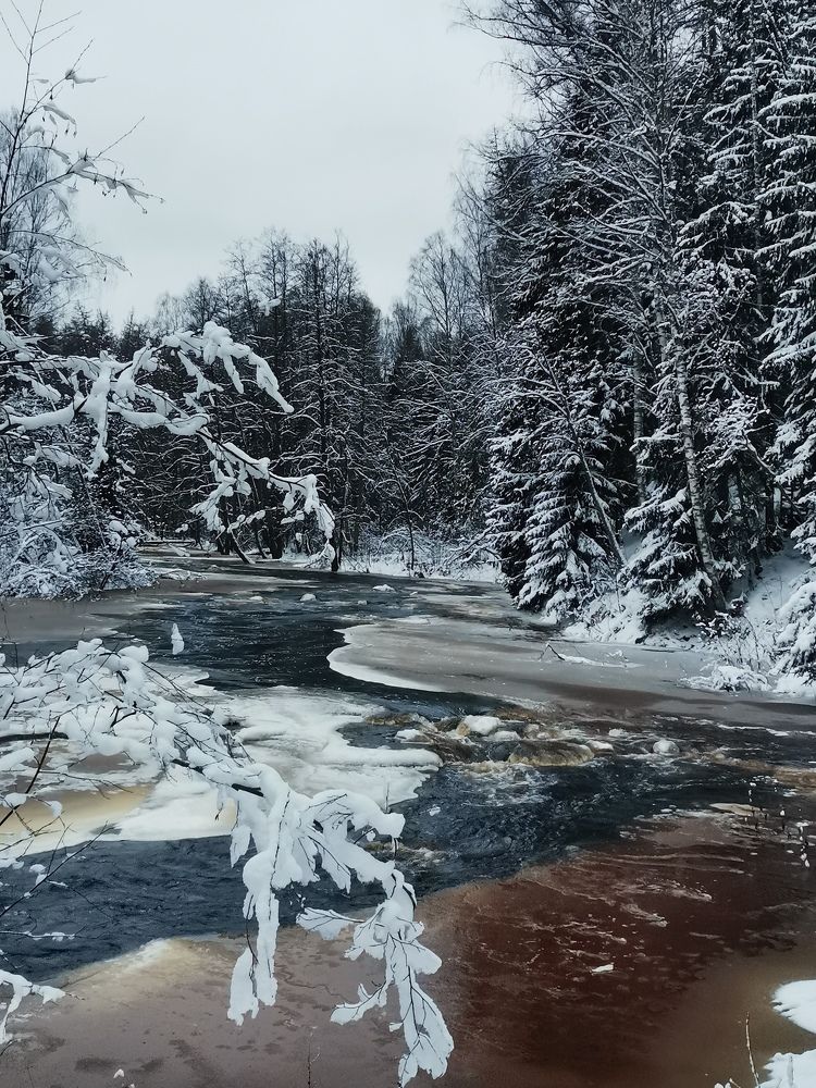 Photograph by Елена Акимова