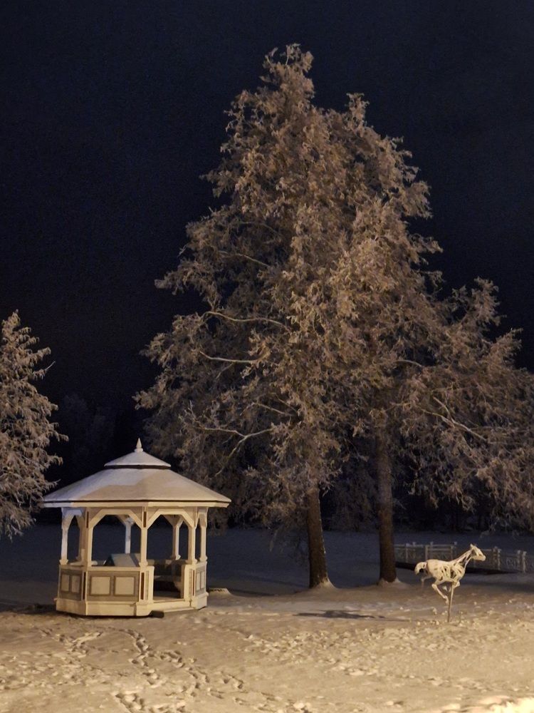 Photograph by Елена Шавшина