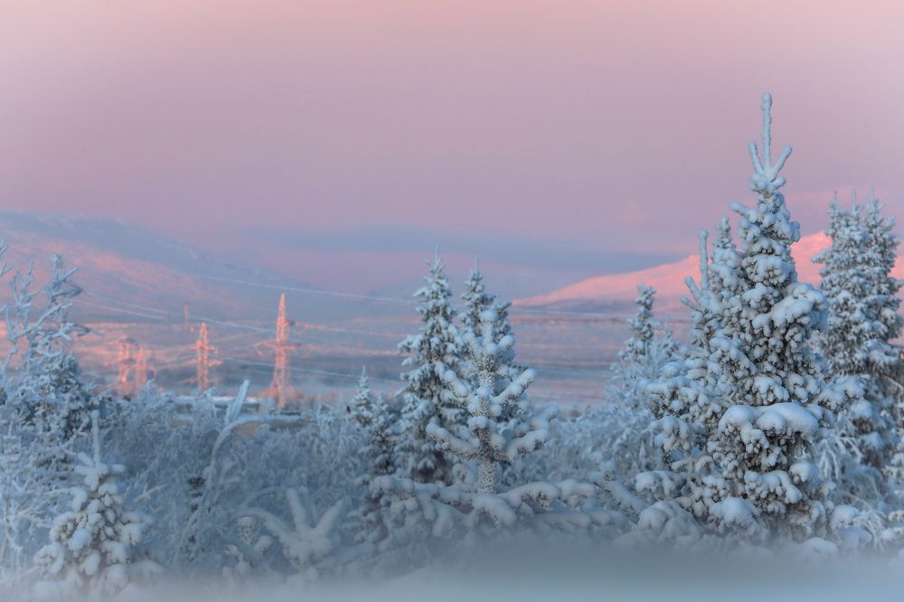 Photograph by Марина Александрова