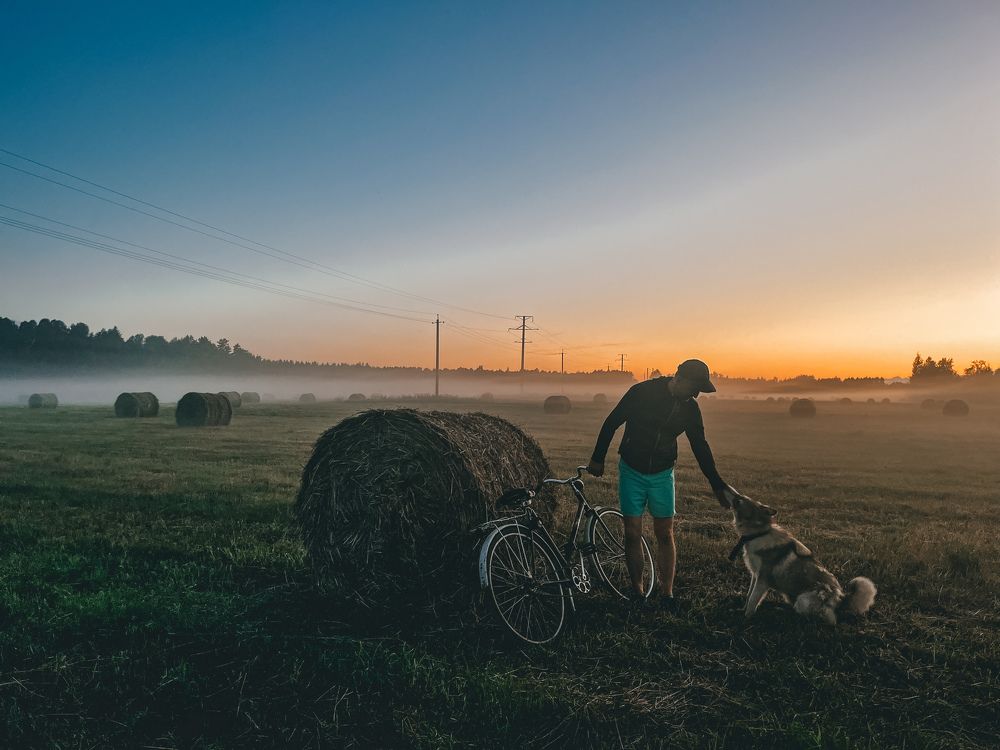 Фотография автора Анастасия Гусева