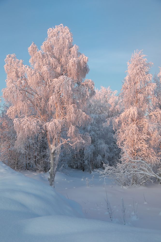 Photograph by Марина Александрова