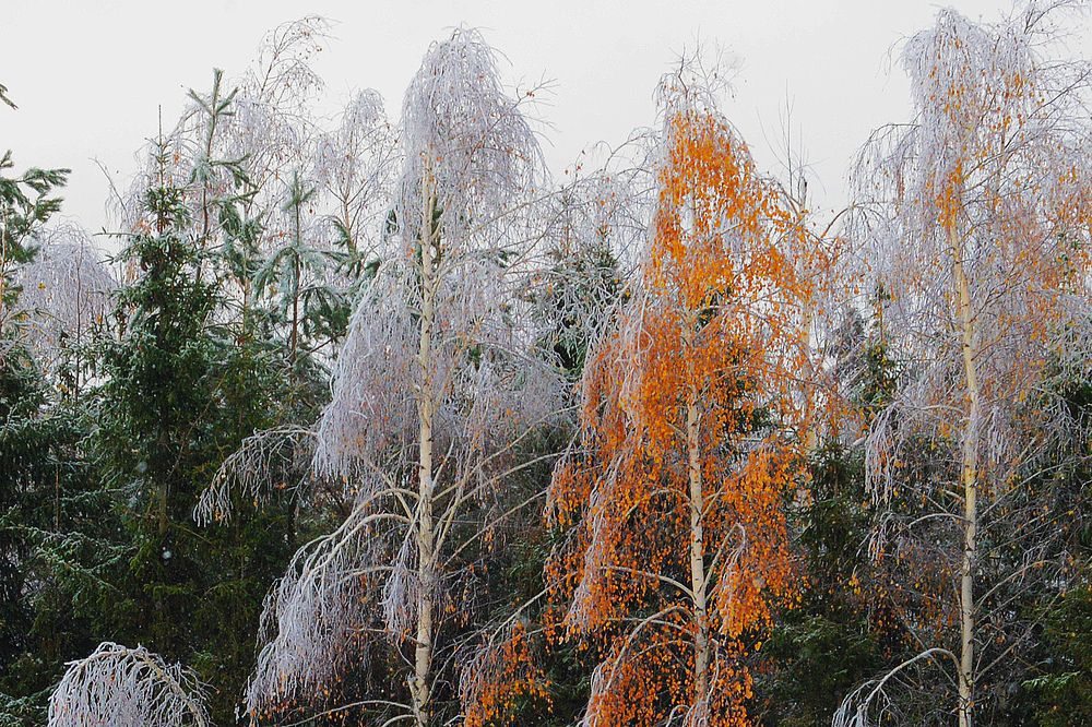 Photograph by Фарит Зиатдинов