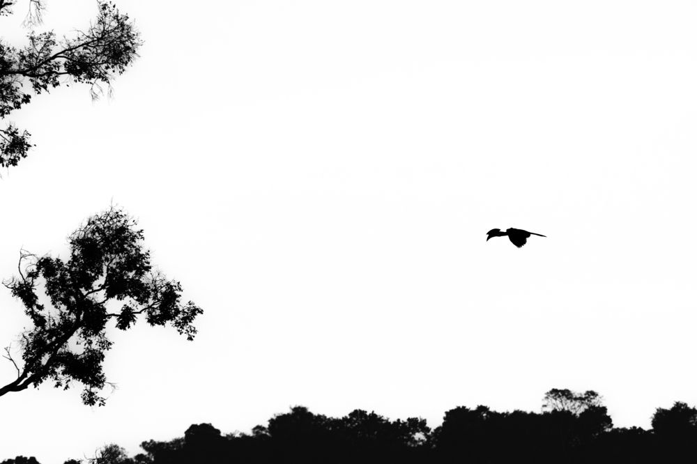 Фотография автора Anandhu M