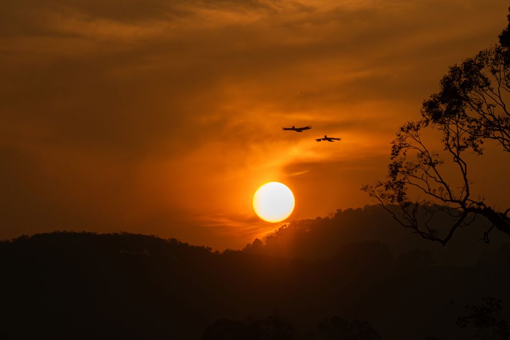 Фотография автора Anandhu M