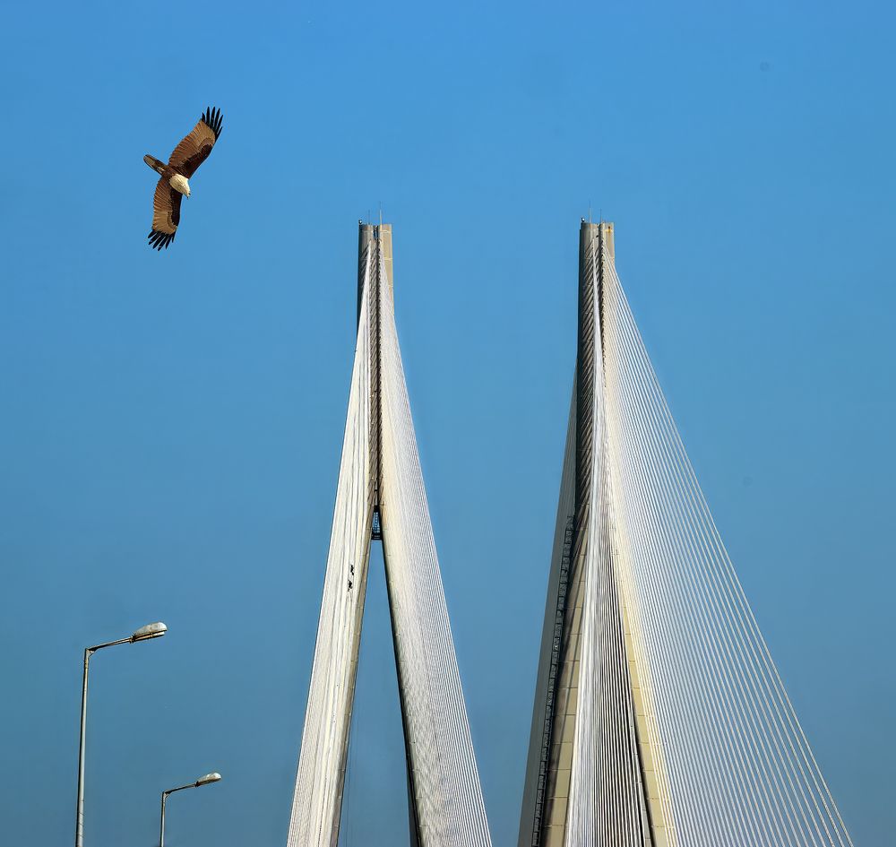 Photograph by Kishore Jothady