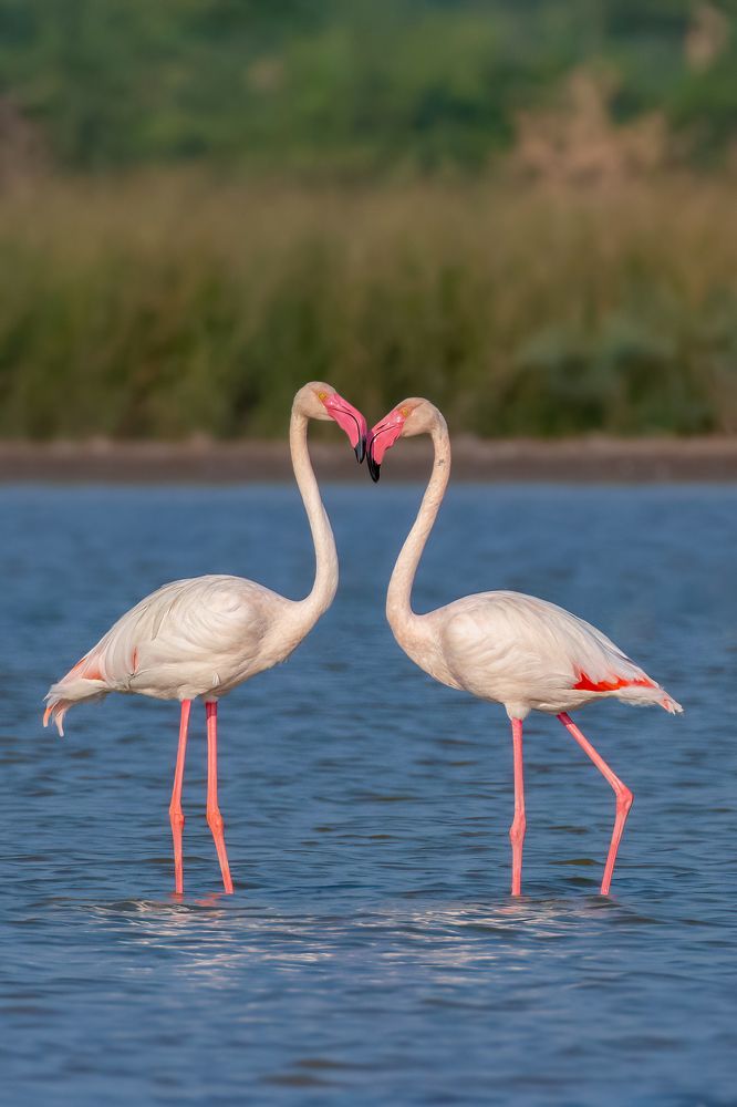 Фотография автора Arkajit Chakraborty