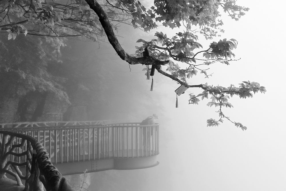 Photograph by Марина Никифорова