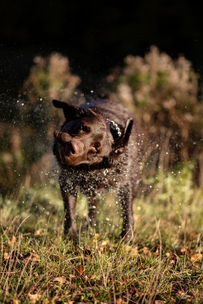 Photograph by Роза Нургалина