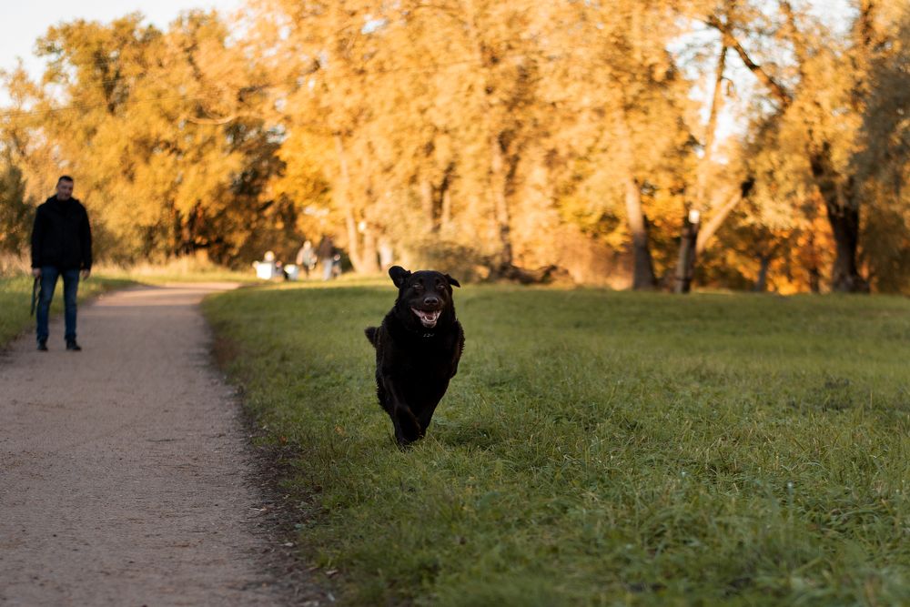 Photograph by Роза Нургалина