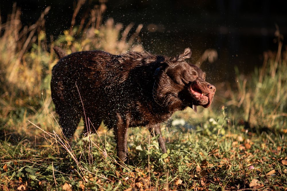 Photograph by Роза Нургалина