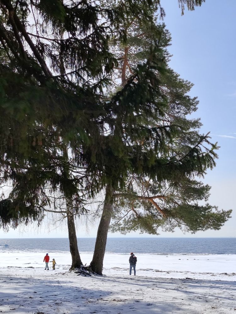 Photograph by Мария Устьянцева