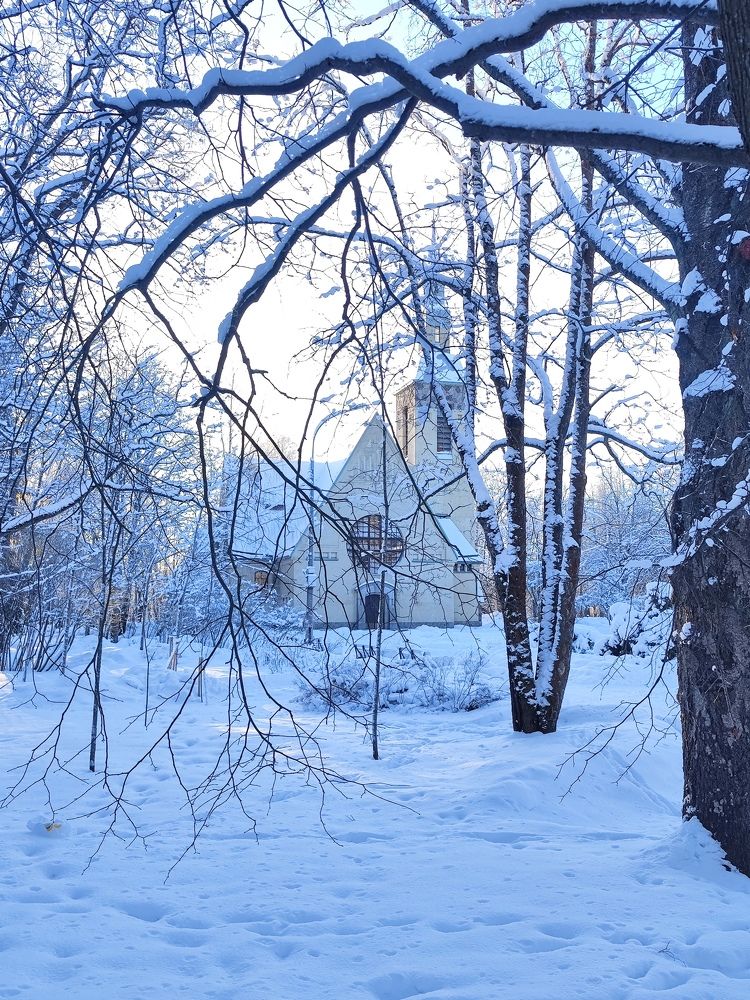 Photograph by Мария Устьянцева