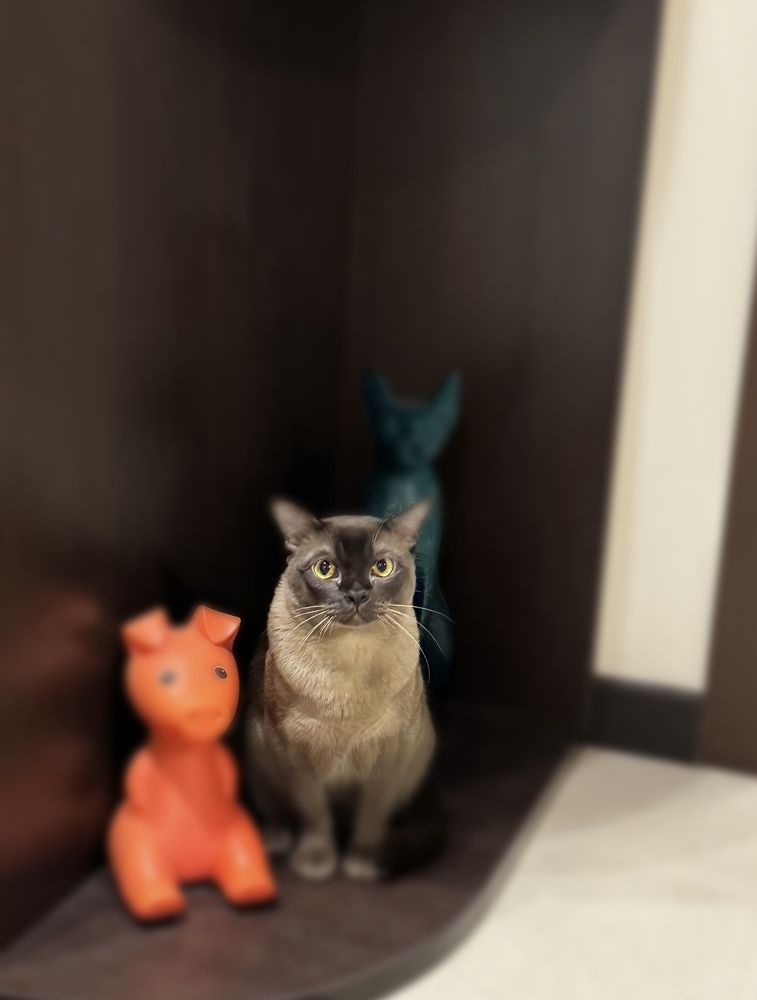 Photograph by Юлия Давшан