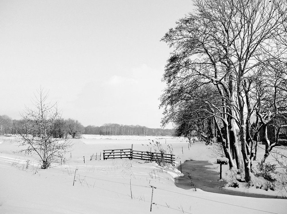 Photograph by Marjo Steffen